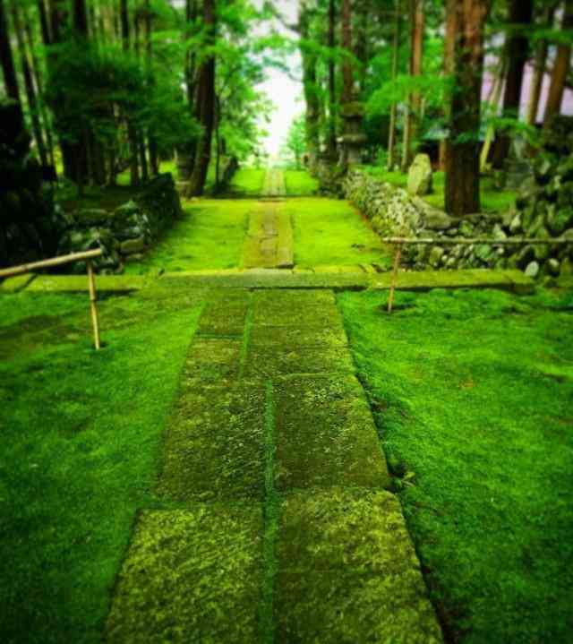日本最難預約的寺廟 在京都 西芳寺 人人焦點